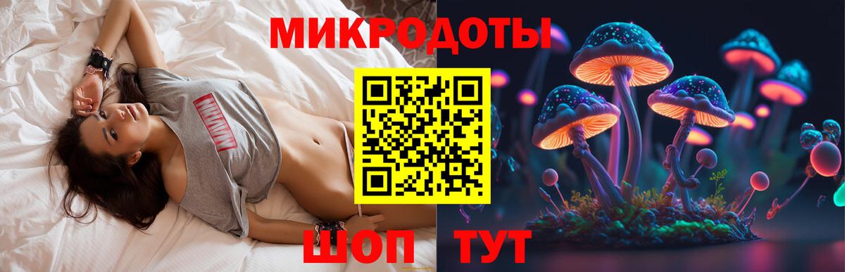 Галлюциногенные грибы Psilocybe  Вход с VPN  Большой Камень 